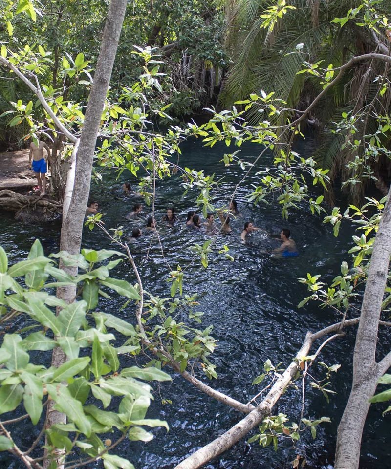 Kikuletwa Hot Springs is located in the middle of a semi arid landscape, surrounded by sprawling fig trees. Amid the trees it features crystal clear water bubbling from underground springs.