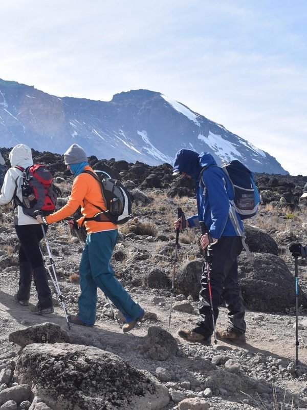 The Lemosho 8 day trek is a popular route for those looking to climb Mount Kilimanjaro. The route begins in the west and approaches the mountain from the south. It is known for its scenic beauty and high success rate, making it a great choice for those looking for a challenging yet rewarding trek.