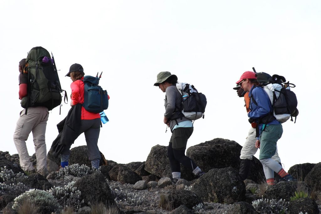 Machame 7 days climb is better because of having one more extra day for acclimatization before the summit day.
