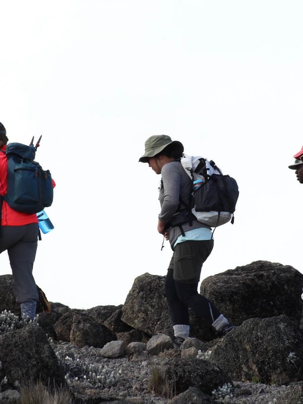 Machame 7 days climb is better because of having one more extra day for acclimatization before the summit day.