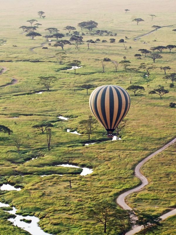 Serengeti Balloon safari