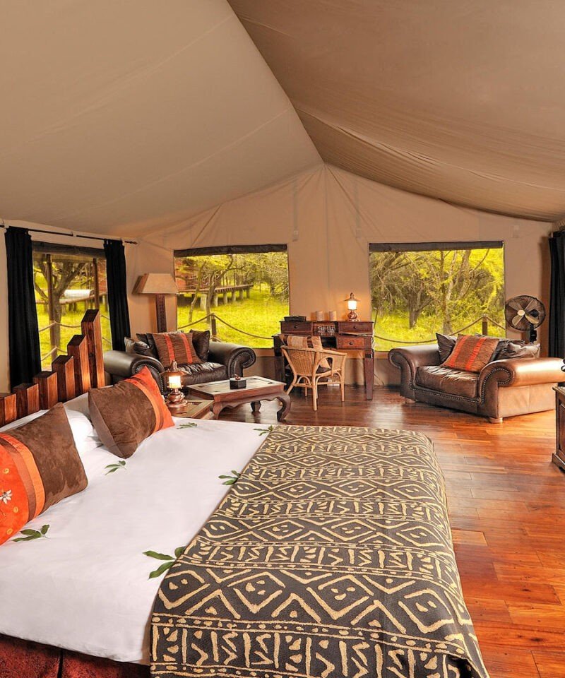 Serengeti Migration Camp, the camp is set among acacia trees and has a swimming pool, a dining area, and several tents that guests can stay in. In the distance, a herd of zebras can be seen grazing.