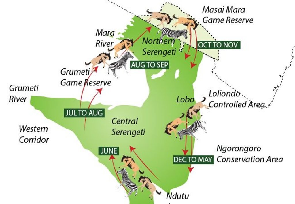 Serengeti-great-migration-map
