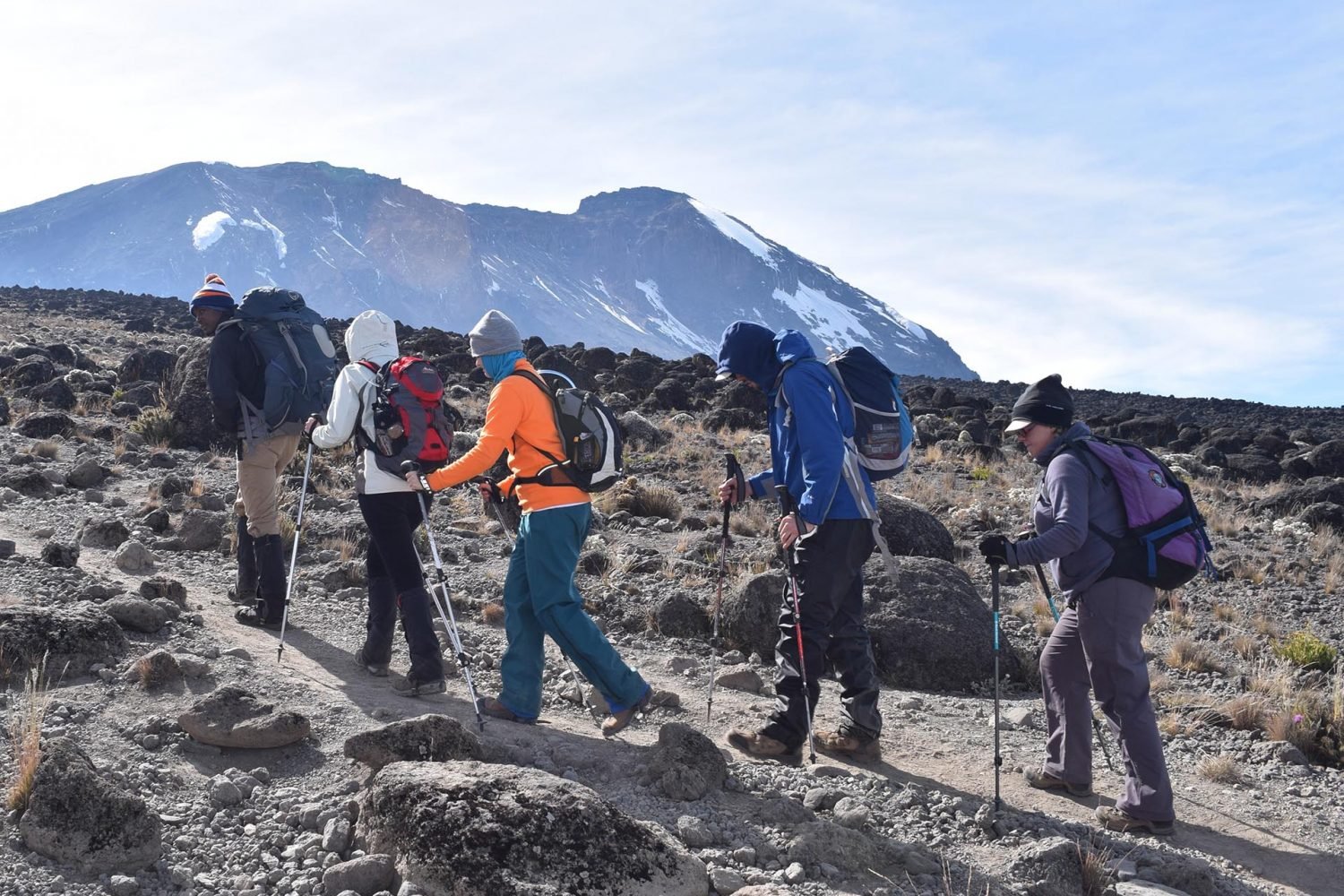 A group of climbers are trekking up the Lemosho route on Mount Kilimanjaro. They are wearing hiking gear and are carrying backpacks. The mountain is in the background and is covered in snow.